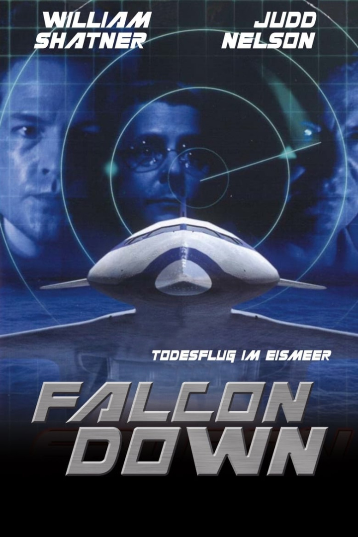 Falcon Down i gruppen Alla filmer hos Mohamad shop (41268)