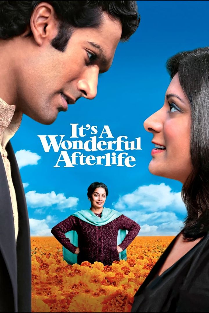 It\'s a Wonderful Afterlife i gruppen Komedi hos Mohamad shop (42057)
