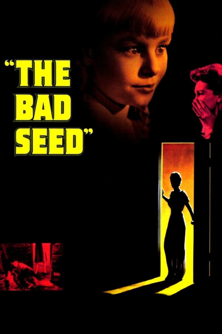 The Bad Seed i gruppen Alla filmer hos Mohamad shop (42196)