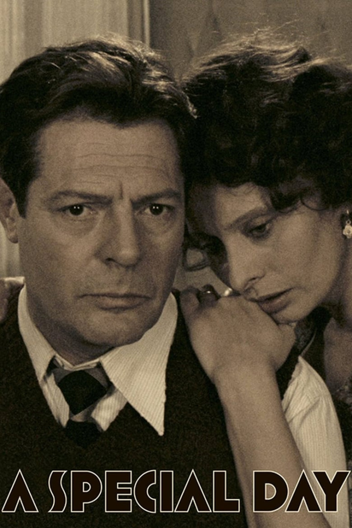 A Special Day i gruppen Alla filmer hos Mohamad shop (42229)