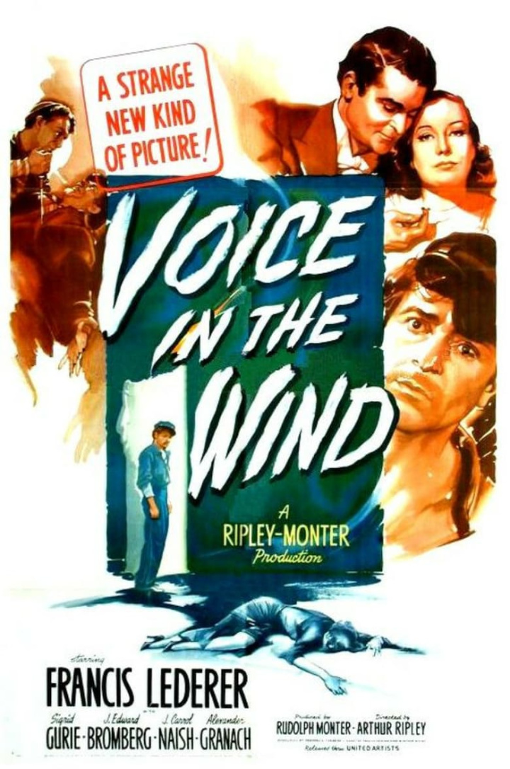 Voice in the Wind i gruppen Alla filmer hos Mohamad shop (42294)