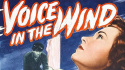 Voice in the Wind
