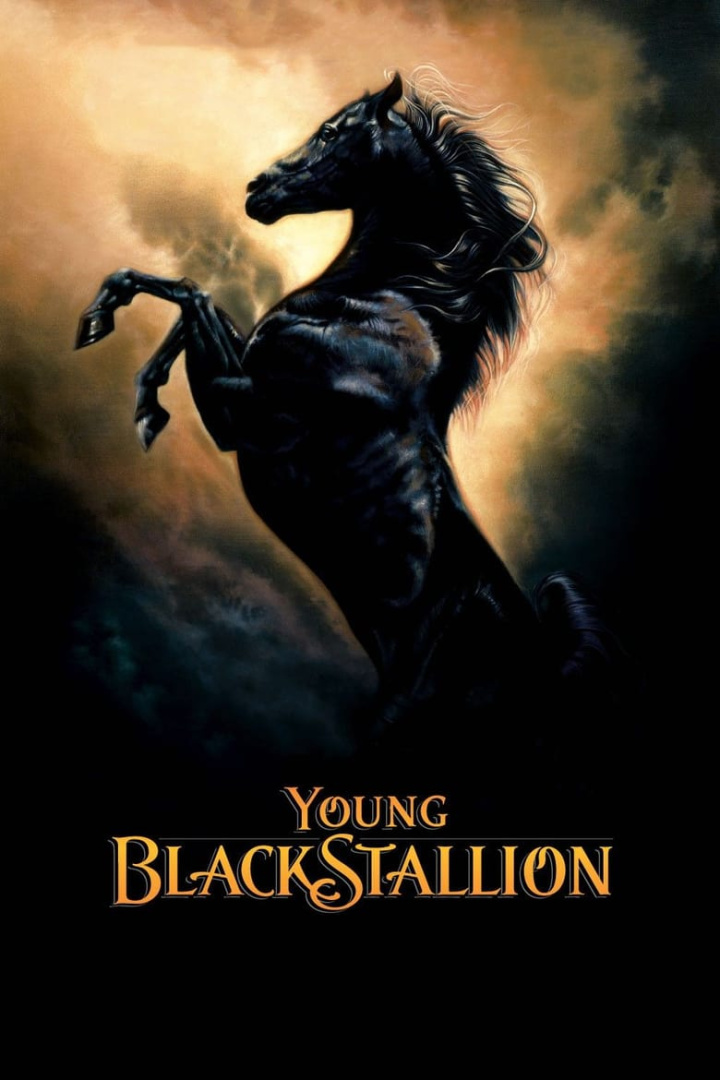 Young Black Stallion i gruppen Alla filmer hos Mohamad shop (42418)