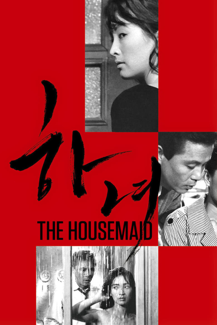 The Housemaid i gruppen Alla filmer hos Mohamad shop (42506)