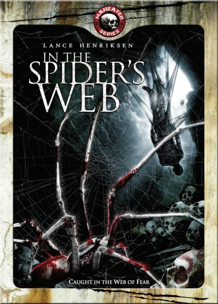 In The Spider\'s Web i gruppen Alla filmer hos Mohamad shop (42901)