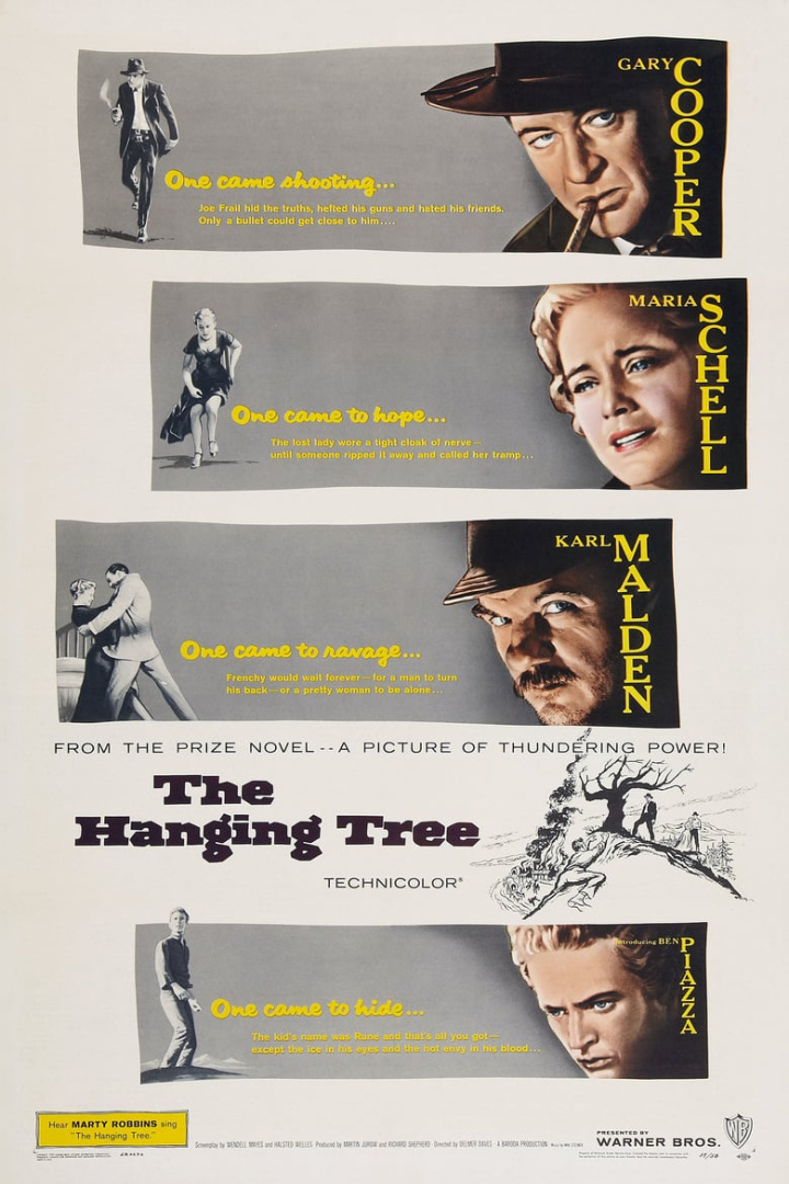 The Hanging Tree i gruppen Alla filmer hos Mohamad shop (43008)