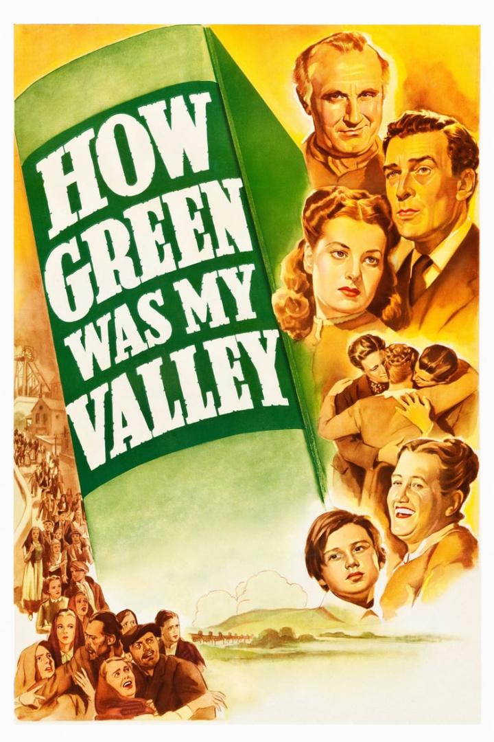 How Green Was My Valley i gruppen Alla filmer hos Mohamad shop (43266)