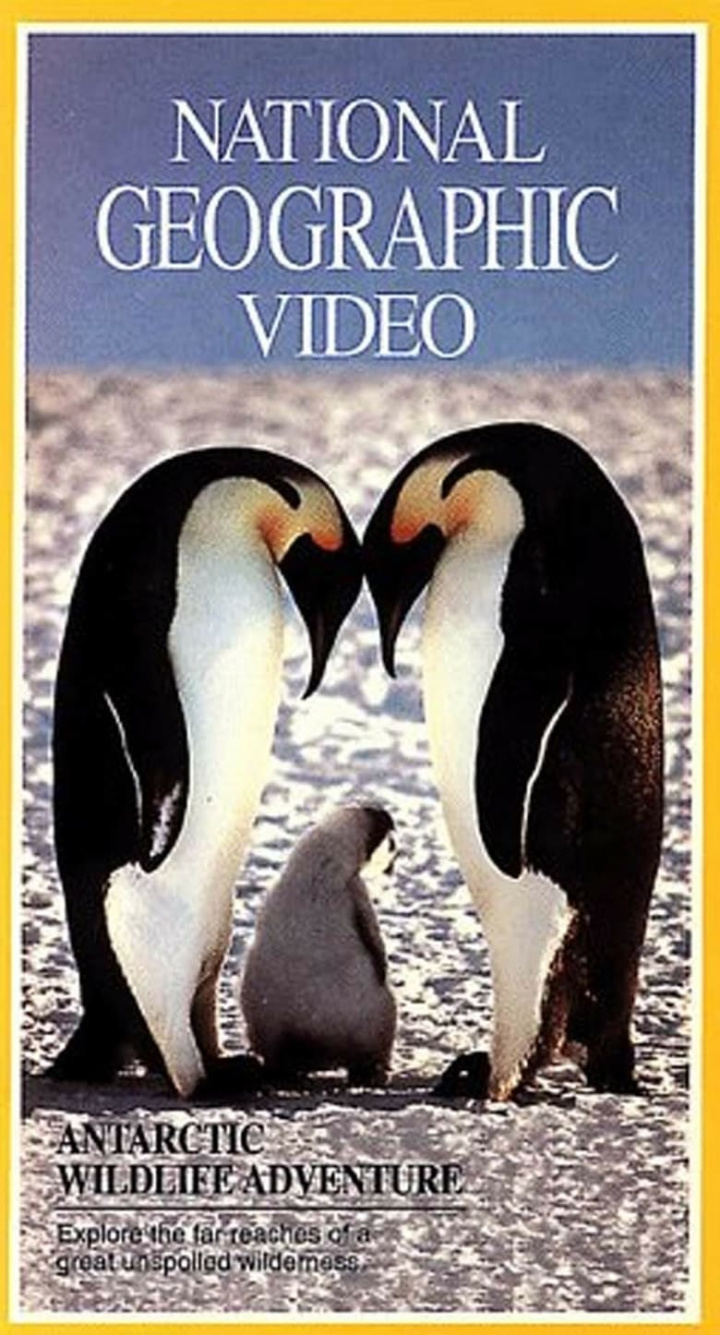 National Geographic: Antarctic Wildlife Adventure i gruppen Alla filmer hos Mohamad shop (43283)