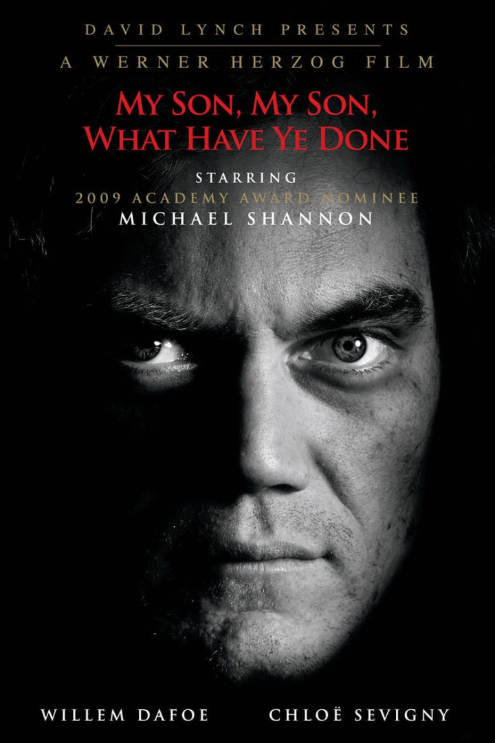 My Son, My Son, What Have Ye Done i gruppen Alla filmer hos Mohamad shop (44027)