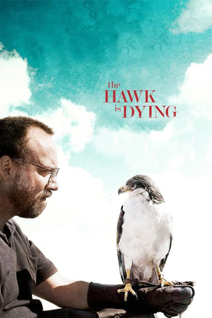 The Hawk Is Dying i gruppen Alla filmer hos Mohamad shop (44813)