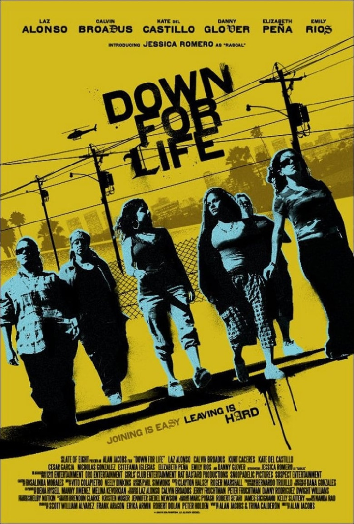 Down for Life i gruppen Alla filmer hos Mohamad shop (44953)