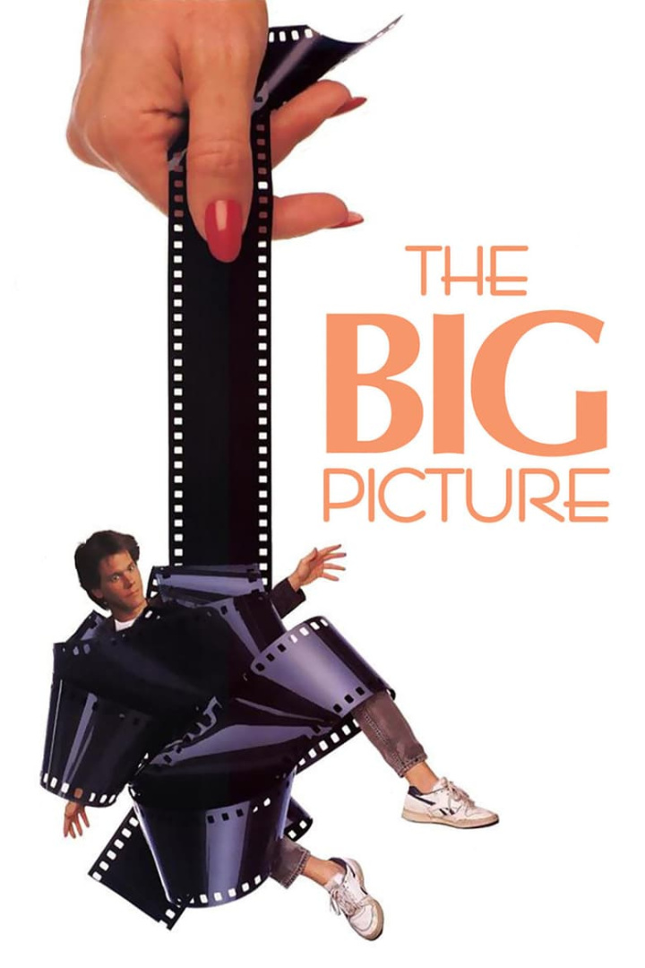 The Big Picture i gruppen Alla filmer hos Mohamad shop (45225)