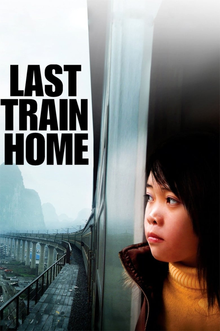 Last Train Home i gruppen Alla filmer hos Mohamad shop (45576)