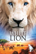 White Lion