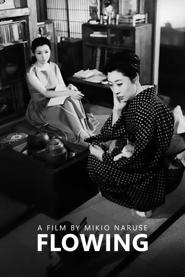 Flowing i gruppen Alla filmer hos Mohamad shop (46493)