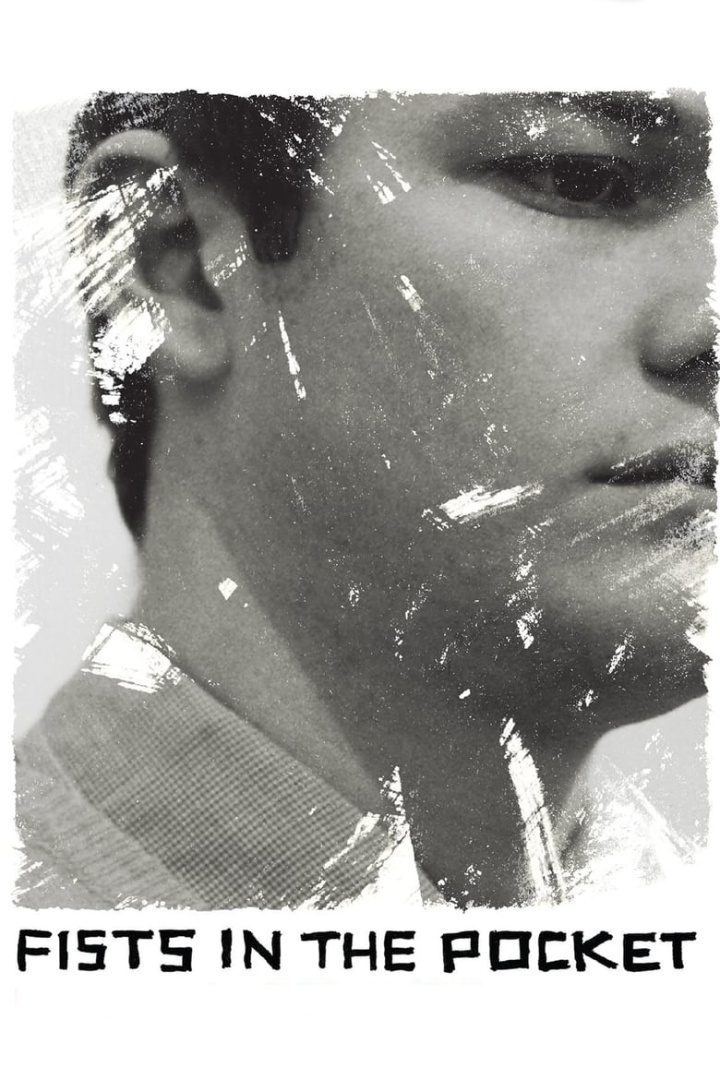 Fists in the Pocket i gruppen Alla filmer hos Mohamad shop (46591)