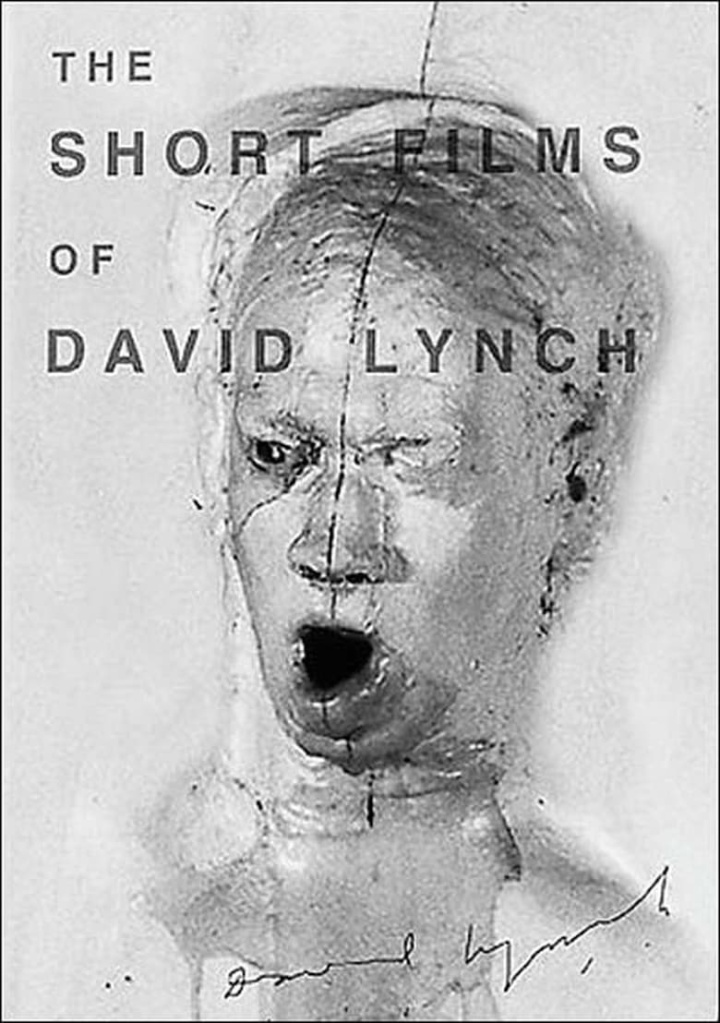 The Short Films of David Lynch i gruppen Drama hos Mohamad shop (46624)