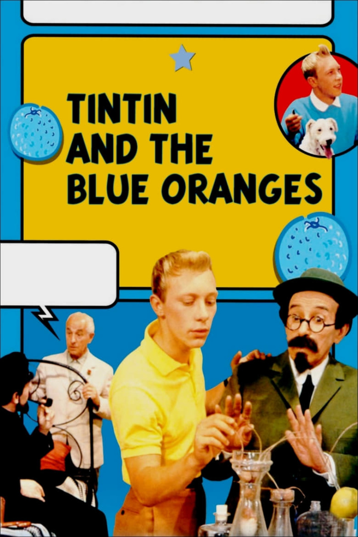 Tintin and the Blue Oranges i gruppen Alla filmer hos Mohamad shop (46690)