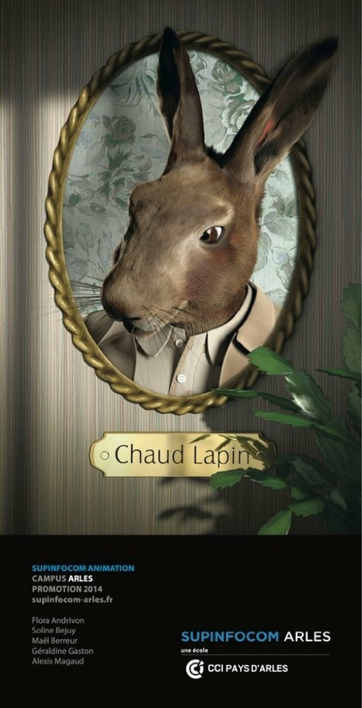 Chaud Lapin i gruppen Alla filmer hos Mohamad shop (467902)