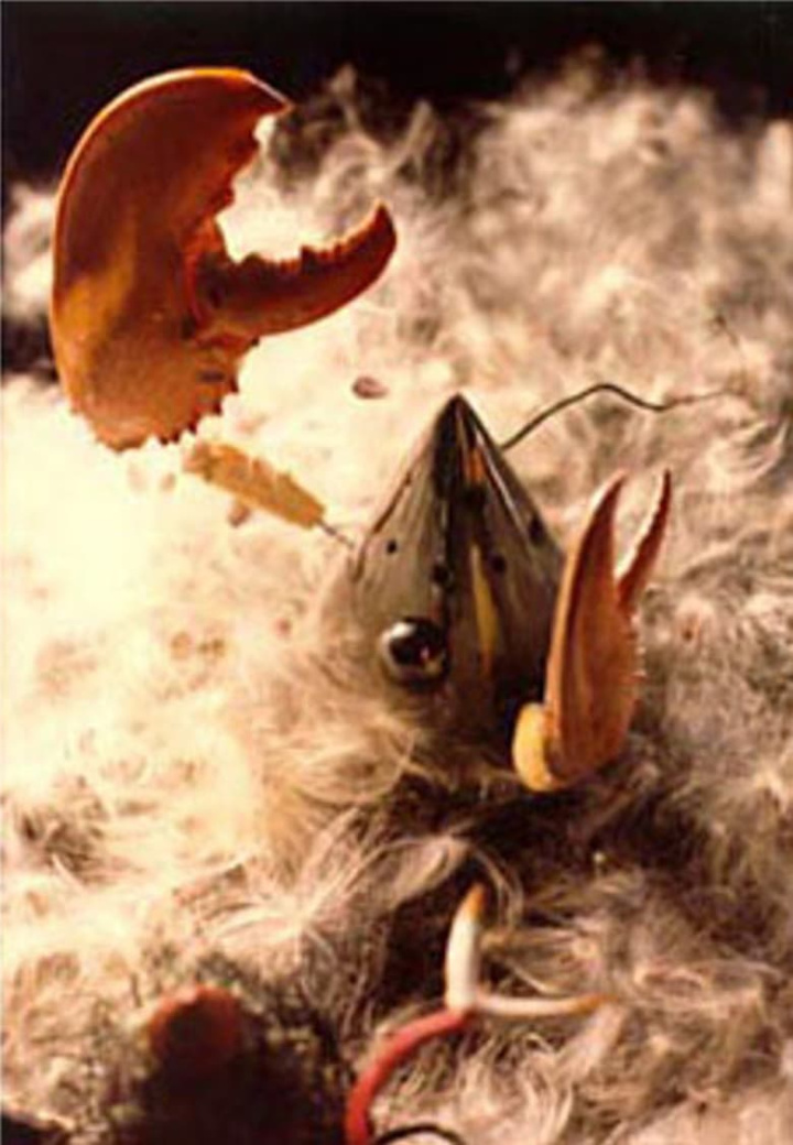 Babobilicons i gruppen Alla filmer hos Mohamad shop (467958)