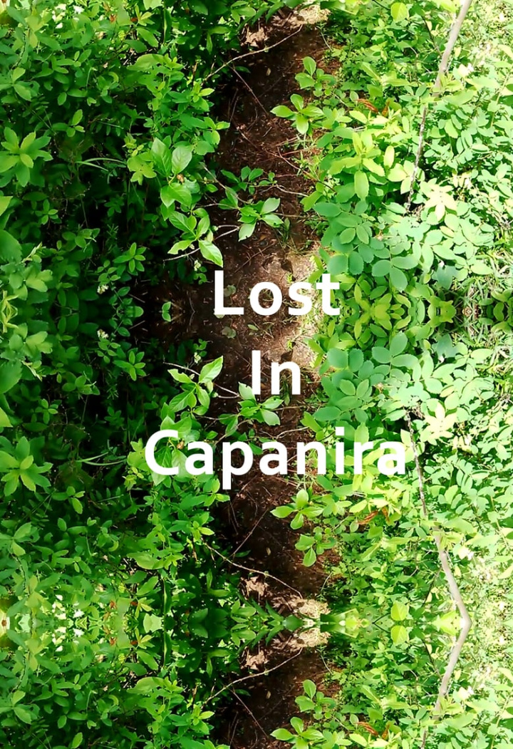 Lost In Capanira i gruppen Alla filmer hos Mohamad shop (467993)