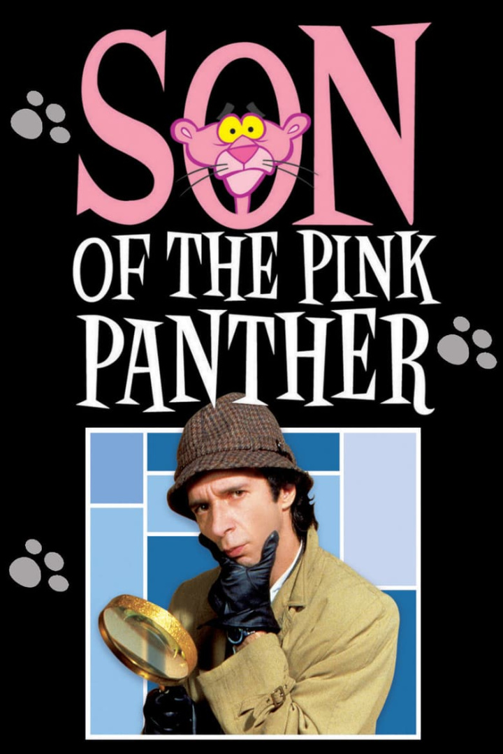 Son of the Pink Panther i gruppen Alla filmer hos Mohamad shop (46828)