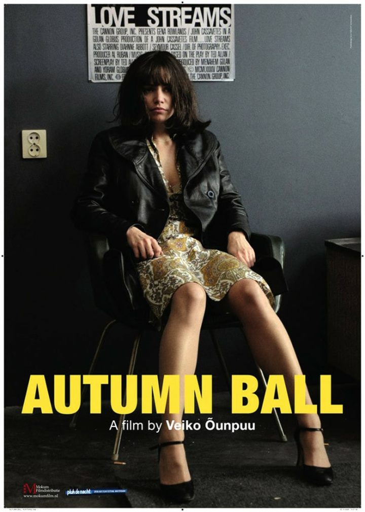 Autumn Ball i gruppen Alla filmer hos Mohamad shop (46847)