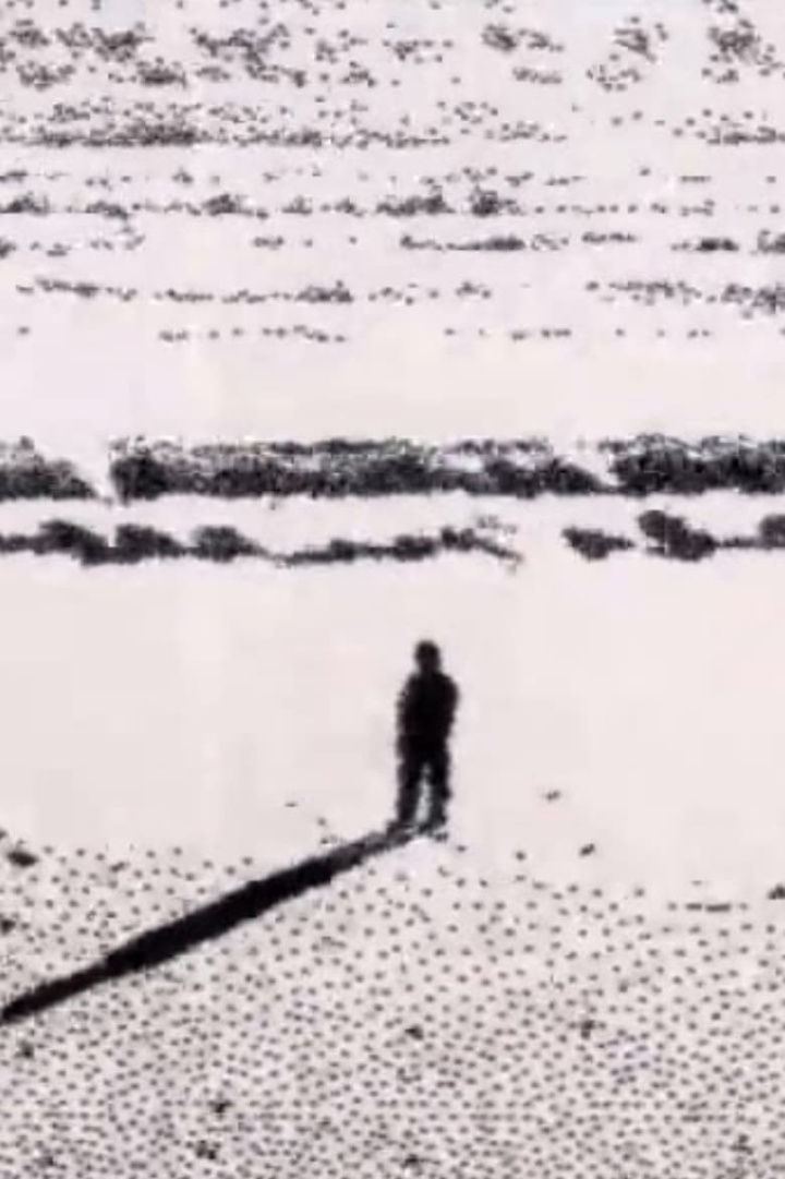 J. Balance i gruppen Alla filmer hos Mohamad shop (468706)