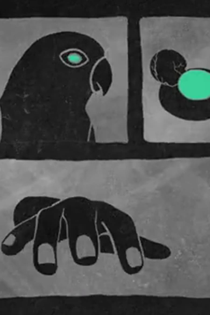 情殺案 Crime of Passion i gruppen Alla filmer hos Mohamad shop (468746)