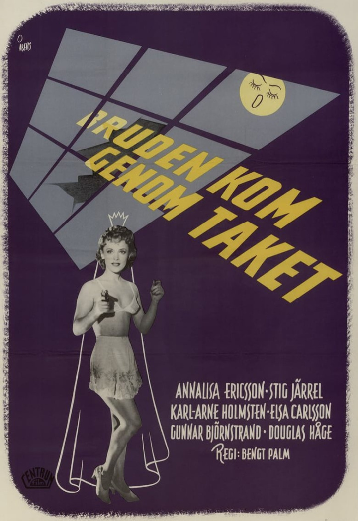 The Bride Came Through the Ceiling i gruppen Alla filmer hos Mohamad shop (468865)