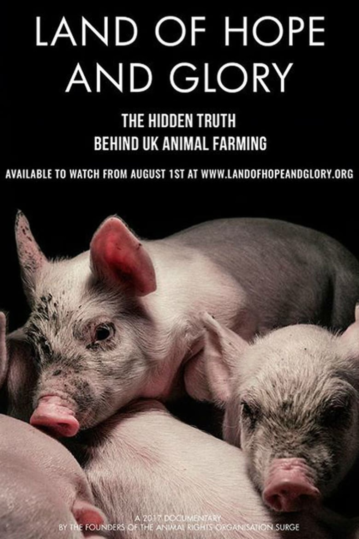 Land of Hope and Glory i gruppen Alla filmer hos Mohamad shop (469116)