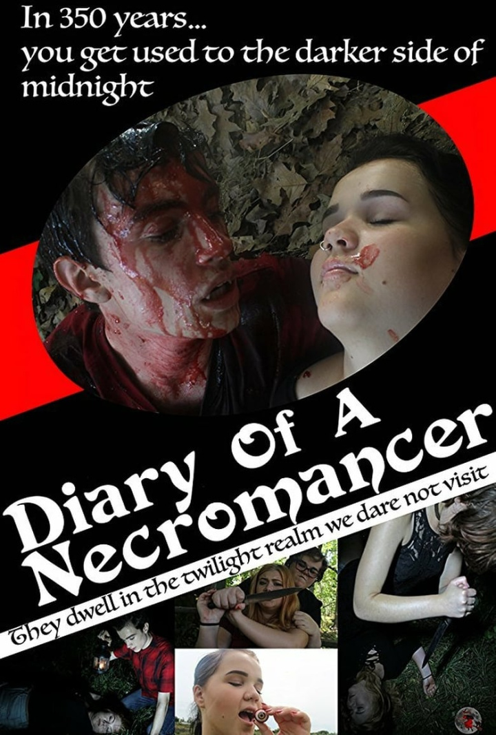 Diary of a Necromancer i gruppen Alla filmer hos Mohamad shop (469520)