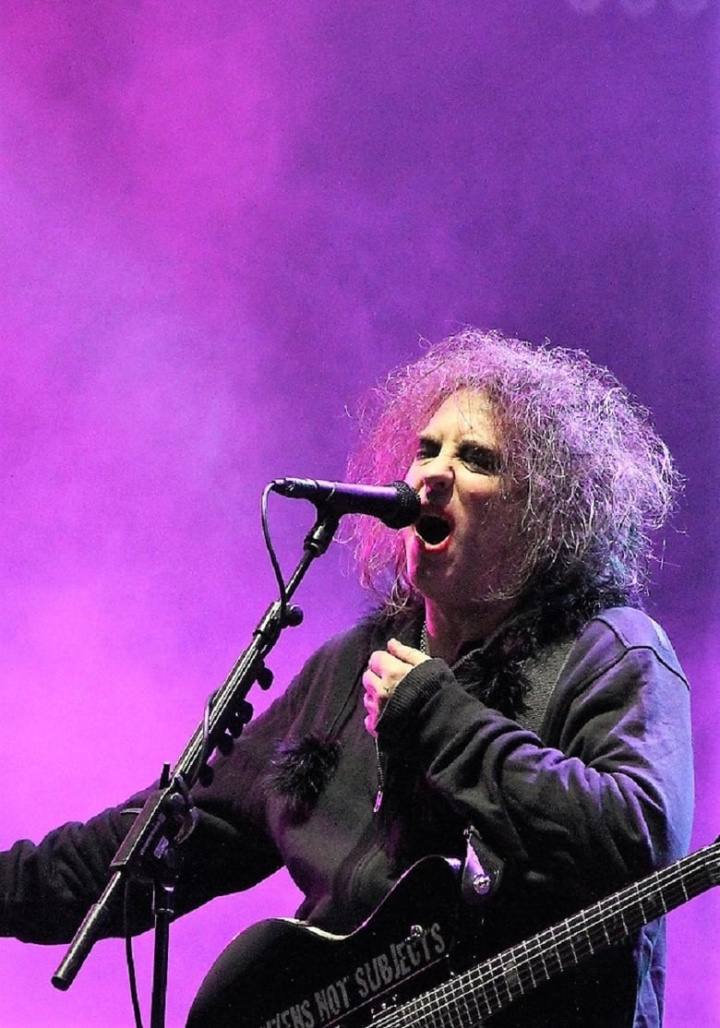 The Cure Aux Viellies Charrues i gruppen Alla filmer hos Mohamad shop (469733)