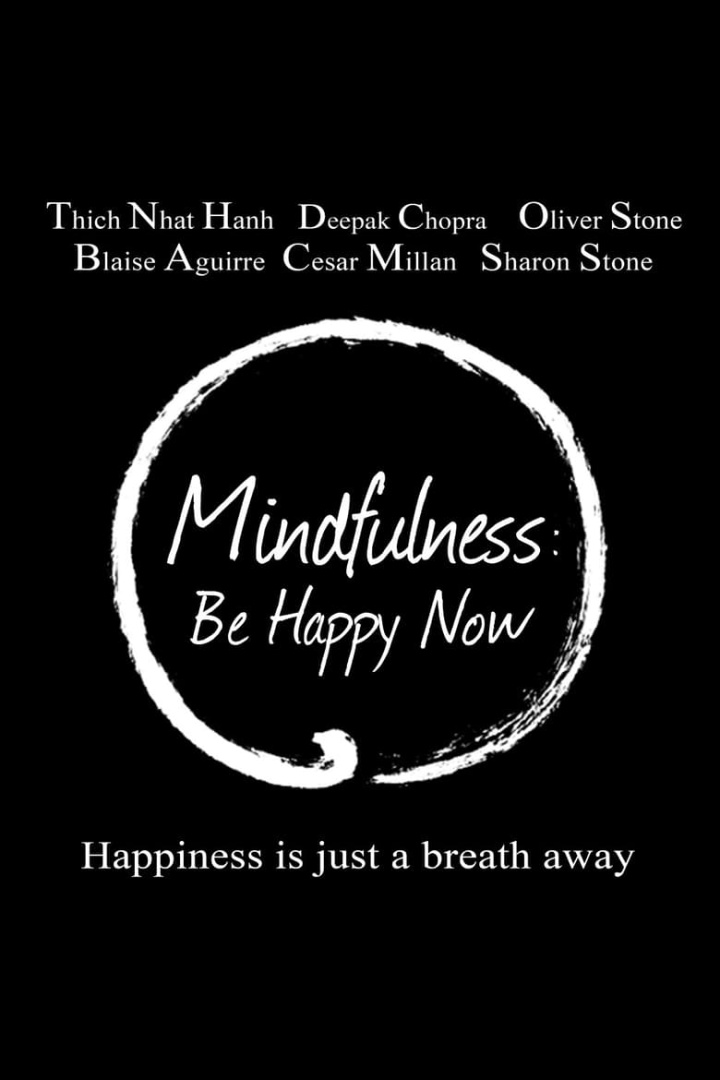 Mindfulness: Be Happy Now i gruppen Alla filmer hos Mohamad shop (470456)