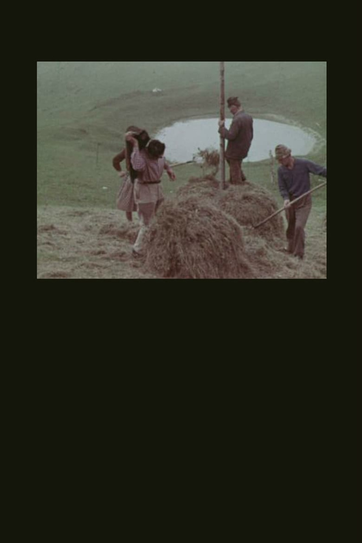 La montagna del sole i gruppen Alla filmer hos Mohamad shop (470848)