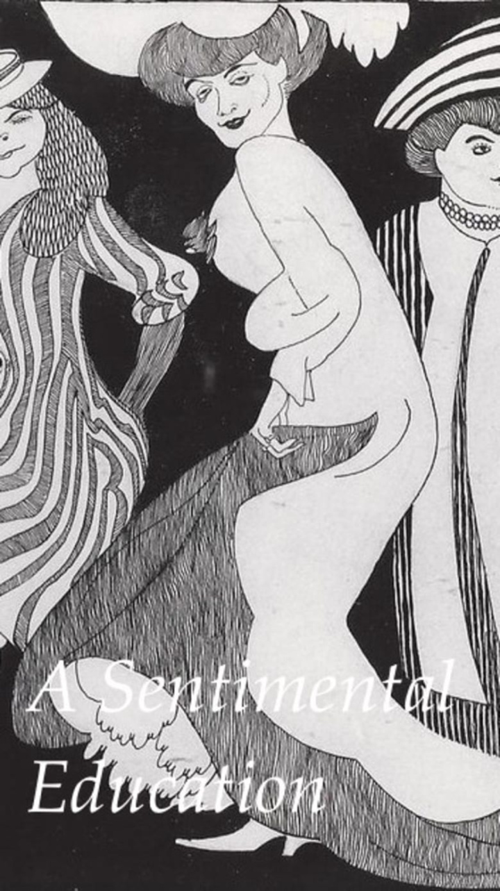 A Sentimental Education i gruppen Komedi hos Mohamad shop (470855)