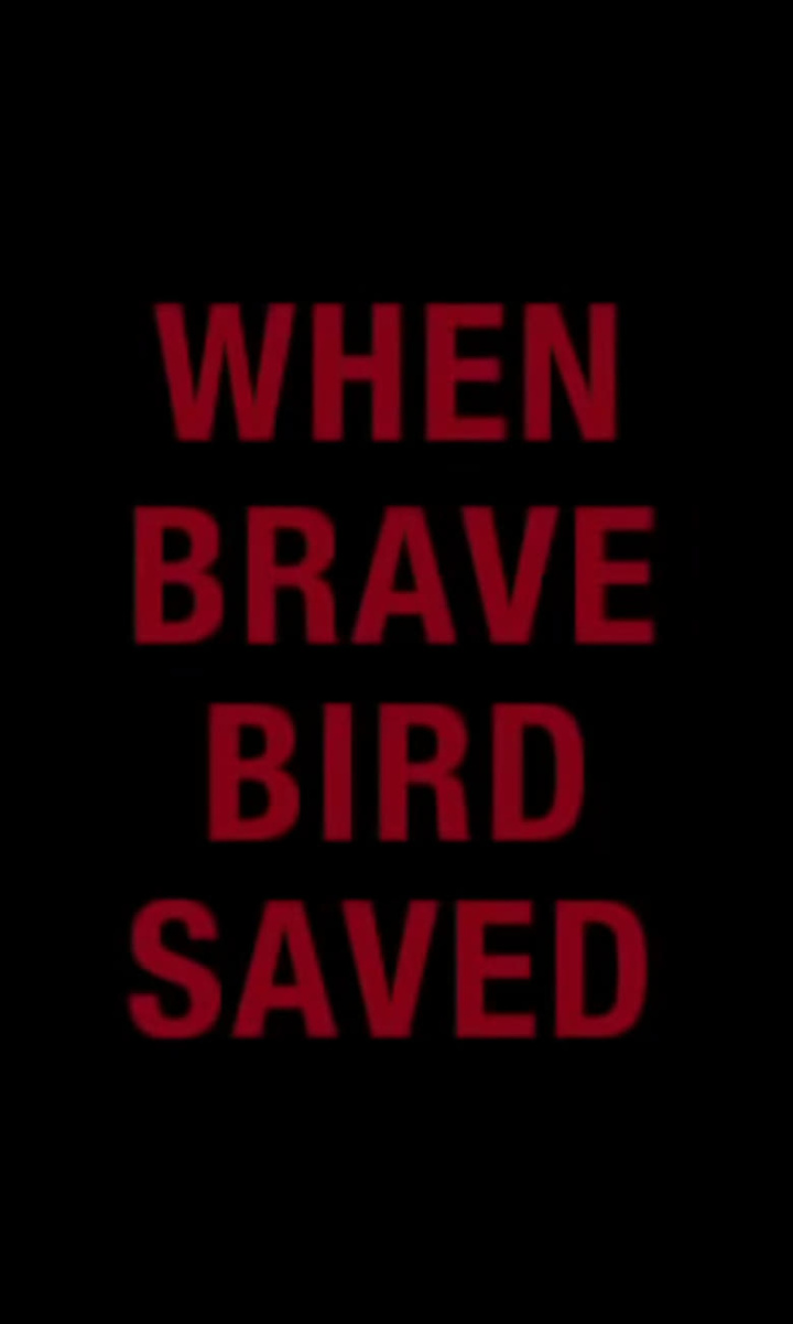 When Brave Bird Saved i gruppen Alla filmer hos Mohamad shop (470867)