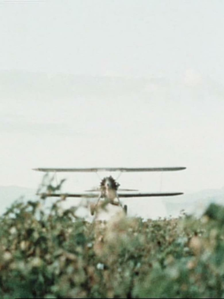 Cotton i gruppen Alla filmer hos Mohamad shop (471122)