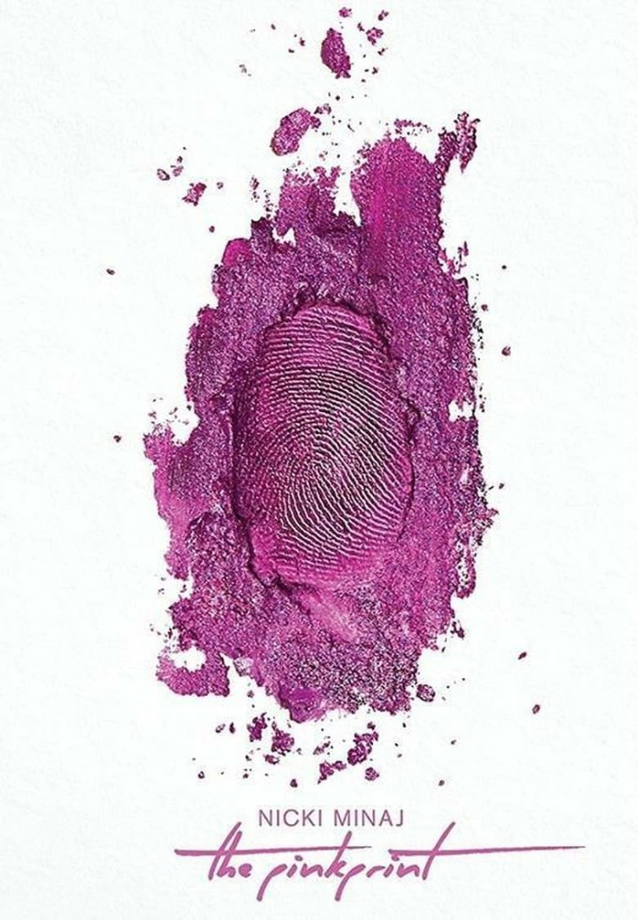 The Pinkprint Movie i gruppen Alla filmer hos Mohamad shop (471141)