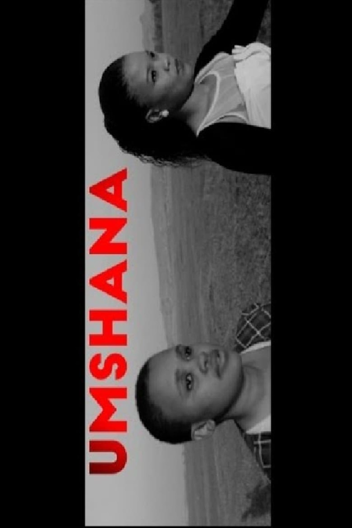 The Niece i gruppen Alla filmer hos Mohamad shop (471232)