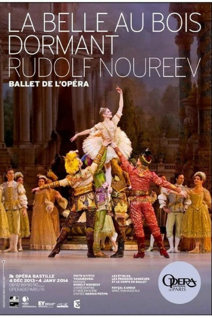 La Belle au bois dormant i gruppen Alla filmer hos Mohamad shop (471367)