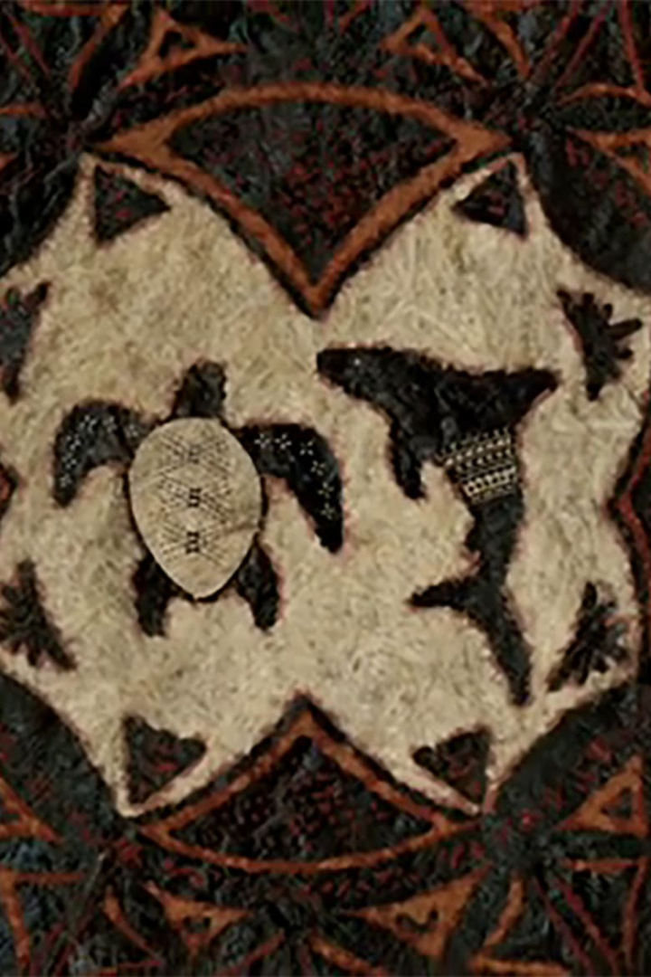 The Turtle and The Shark i gruppen Alla filmer hos Mohamad shop (471404)