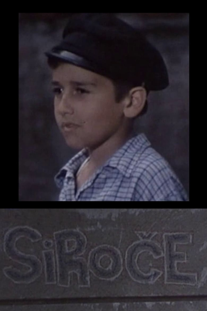 Orphan i gruppen Alla filmer hos Mohamad shop (471750)