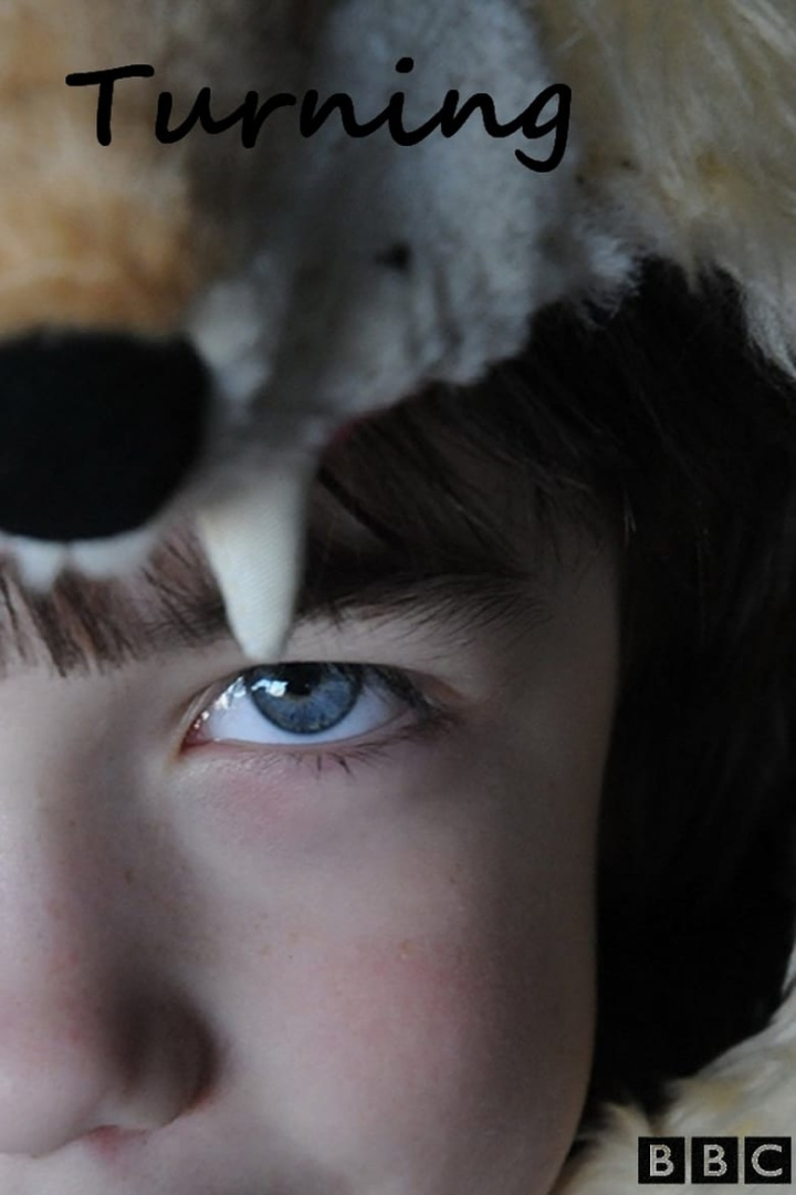 Turning i gruppen Alla filmer hos Mohamad shop (471763)