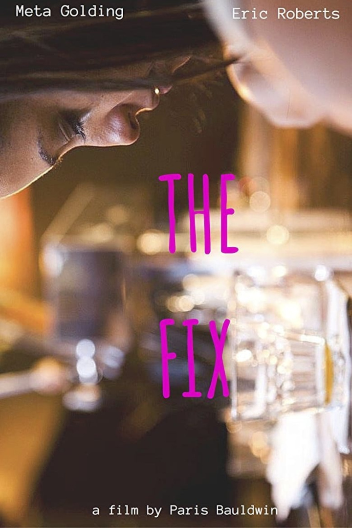 The Fix i gruppen Alla filmer hos Mohamad shop (471905)