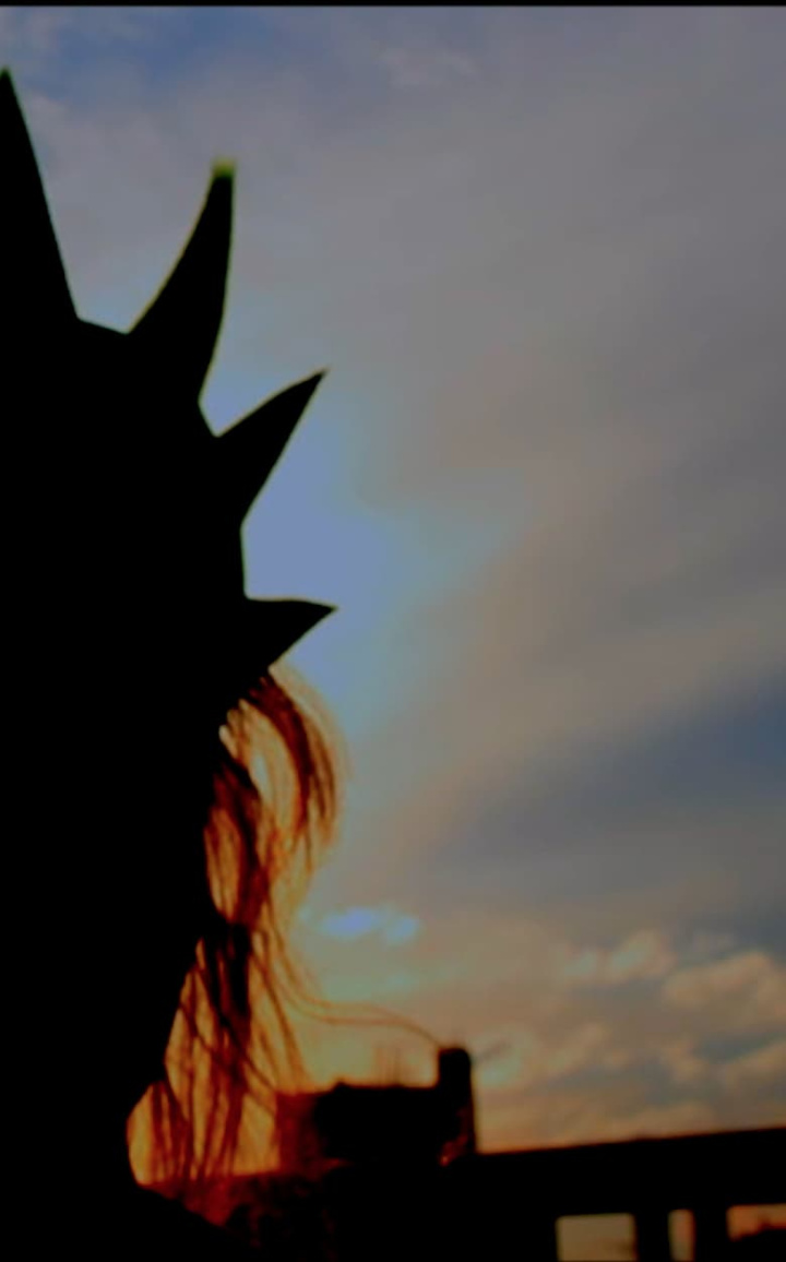 Liberté i gruppen Alla filmer hos Mohamad shop (471958)