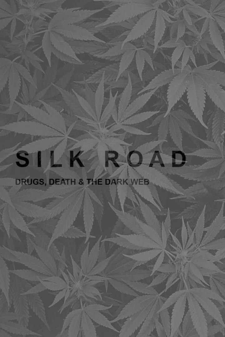 Silk Road: Drugs, Death and the Dark Web i gruppen Alla filmer hos Mohamad shop (472003)