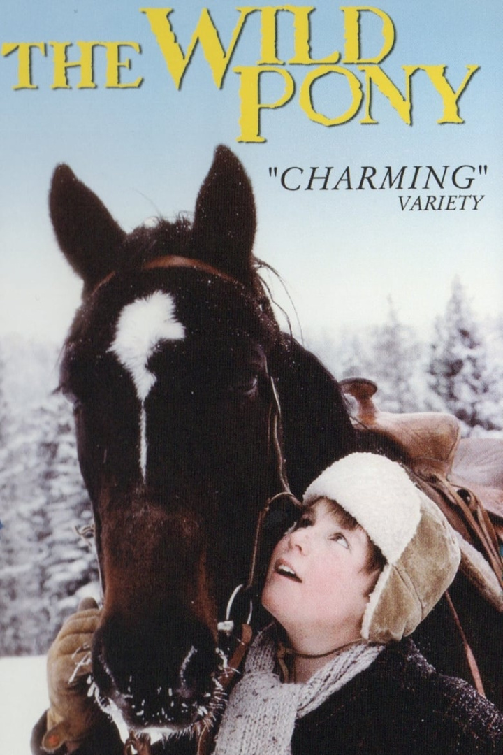 The Wild Pony i gruppen Alla filmer hos Mohamad shop (472617)