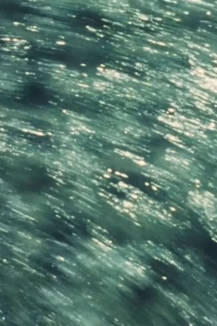 Swimmer i gruppen Alla filmer hos Mohamad shop (472620)