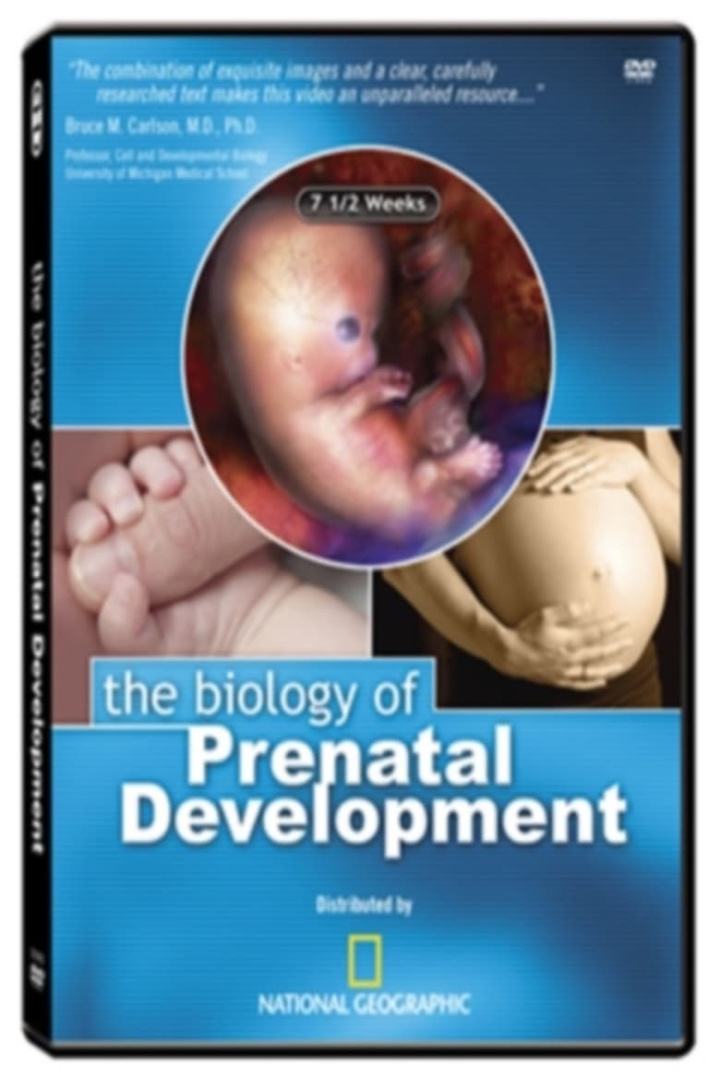 The Biology of Prenatal Development i gruppen Alla filmer hos Mohamad shop (472700)